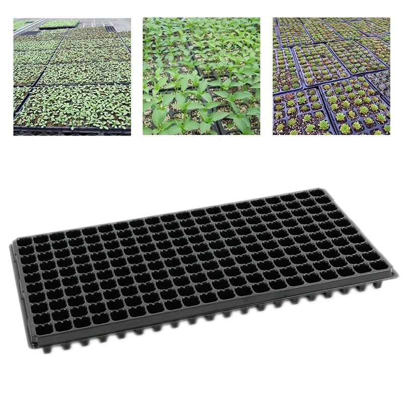 200Cells Seedling Growing Cases Germination Plant Propagation Nursery Seed Tray