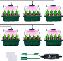 Load image into Gallery viewer, Full-Featured Seedling System, Moisturizing and Insect-Proof Transparent Cover, Layered Drainage Tray, Home Gardening Nursery Greenhouse Kit

