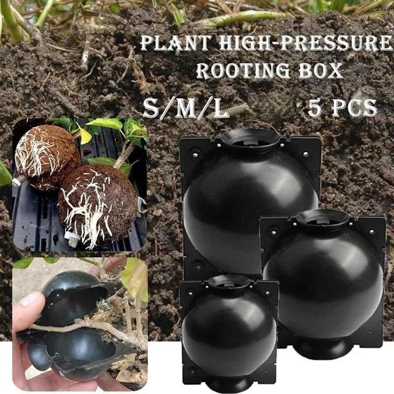 5Pcs Plant Rooting Ball Grafting Rooting Growing Box Breeding Seeding Case Container Nursery Box Garden Seeds Root