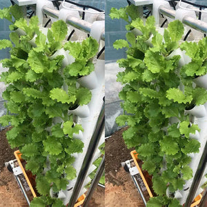 New Style Indoor Greenhouse Hydroponic Grow System Vertical Plant With Accesories