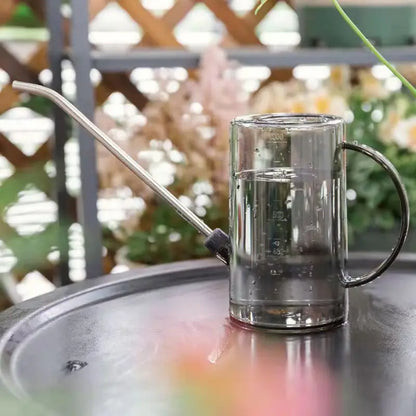 Watering Can, Small Watering Cans for House Plants, Succulents and Flowers,Long Spout,1 Liter,with Bonus Plant Spray Bottle