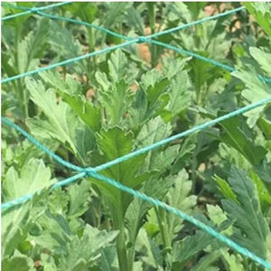 1 package Garden Grid Net for Climbing, Plant Climbing Vine Net, Green Garden Square Grid