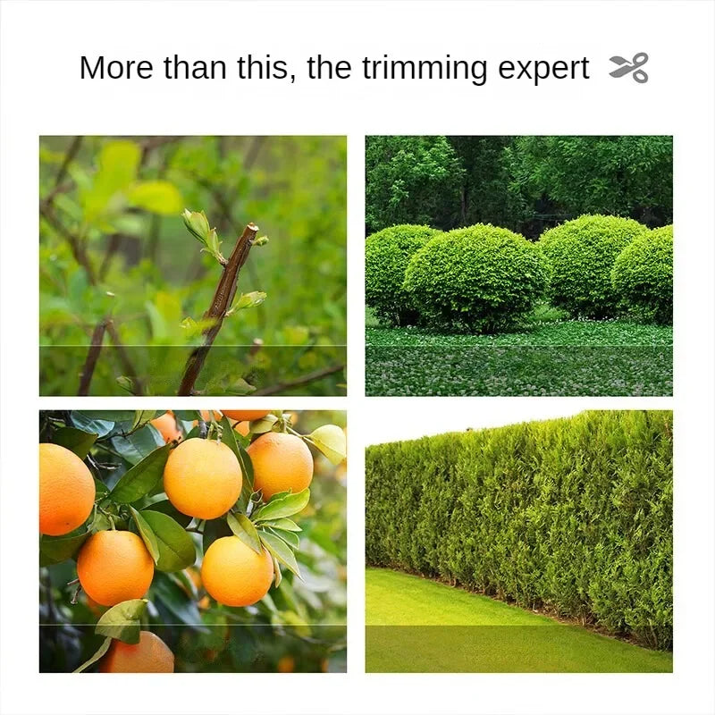 Deli Gardening Scissors Flower / Pruning Shears Lawn Special Hedge Shears Strong Pruning Branches Pruning Tools for Home Garden