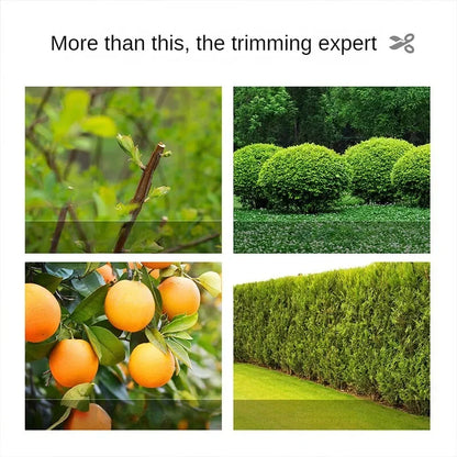 Deli Gardening Scissors Flower / Pruning Shears Lawn Special Hedge Shears Strong Pruning Branches Pruning Tools for Home Garden