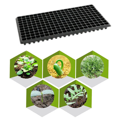 200Cells Seedling Growing Cases Germination Plant Propagation Nursery Seed Tray