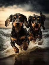 Load image into Gallery viewer, Dachshund 5D Diamond Painting Cute Pet Dog Art Mosaic Portrait DIY Diamond Embroidery Room Home Decor Art Rhinestones Handicraft
