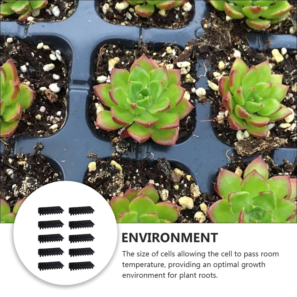 10 Pcs Seedling Tray Microgreens Germination Sprouting Seeds Starter Planters Trays Succulent Plants Hydroponic Hidroponia