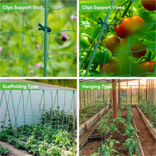 Load image into Gallery viewer, 1 package Garden Grid Net for Climbing, Plant Climbing Vine Net, Green Garden Square Grid
