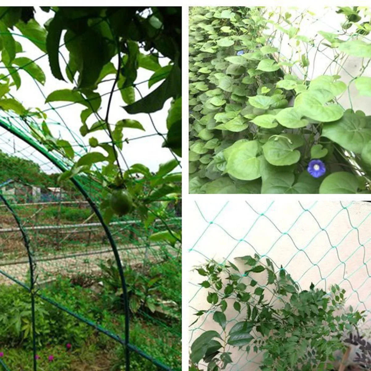 1 package Garden Grid Net for Climbing, Plant Climbing Vine Net, Green Garden Square Grid