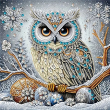 Load image into Gallery viewer, DIY Special Shaped Diamond Painting Cartoon Owl Wall Art Decor for Beginners 30x30CM
