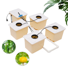 Load image into Gallery viewer, 11L Vegetable Aquaponic Kit Hydroponics Dutch Bucket Drip Growing System Complete Plants
