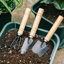 Load image into Gallery viewer, 3Pcs/Set Mini Garden Tool Set For Garden Plants Flower Pot Cactus Vegetables Digging Weeding Indoor Small Plants Garden Tools
