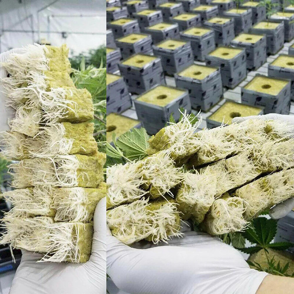 5PCS/1PCS 50 Cubes Sheet Block Propagation Cloning Seed Raising Hydroponic Soilless Planting Sponge Planting Grow Starter Cubes