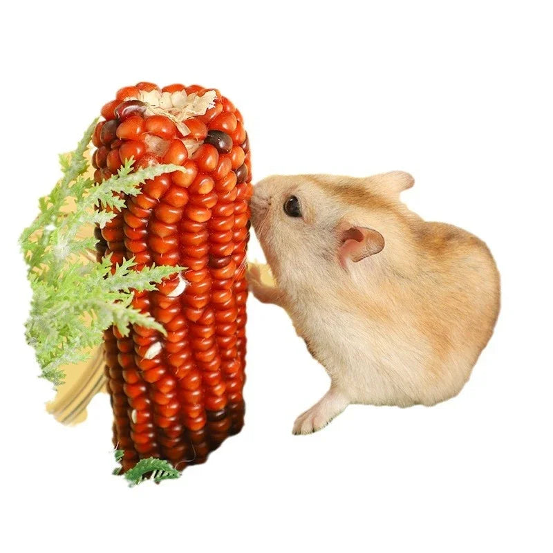 Hamster Food Staple Food Molar Toys Golden Bear Rabbit Chinchilla Molar Corn Cob Molar Snack Hamster Toys