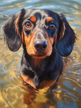 Load image into Gallery viewer, Dachshund 5D Diamond Painting Cute Pet Dog Art Mosaic Portrait DIY Diamond Embroidery Room Home Decor Art Rhinestones Handicraft
