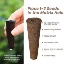 Load image into Gallery viewer, 50Pcs Seed Grow Sponges Replacement Root Growth Sponges Seedling Starter Plugs Seed Starting Seed Pod Hydroponic Garden Planting
