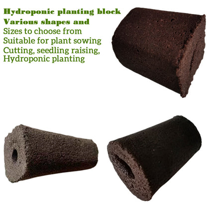 50pcs Seed Root Growth Sponges Soilless Growing Seedling Growth Helper Seed Starter Plugs for Hydroponic Flowers Plants