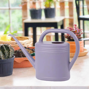 Watering Can Water Can for Plants with Sprinkler Head 2L Long Mouth Watering Can Flower Watering Can for Outdoor House Plant
