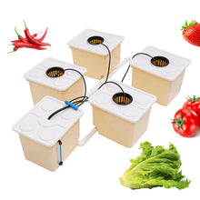 Load image into Gallery viewer, 11L Vegetable Aquaponic Kit Hydroponics Dutch Bucket Drip Growing System Complete Plants
