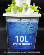 Load image into Gallery viewer, Hydroponic Growing System 6 Layers 3 Plant Sites 18 Holes , Home Gardening System Kit for or Indoor Herbs, Fruits and Vegetables
