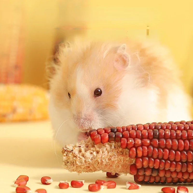 Hamster Food Staple Food Molar Toys Golden Bear Rabbit Chinchilla Molar Corn Cob Molar Snack Hamster Toys