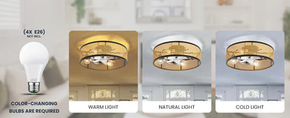 20" Flush Mount Ceiling Fan with Light & Remote Control, Drum Shade, Bladeless/Quiet Motor/Low Profile, for Kitchen Bedroom