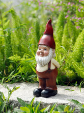 Load image into Gallery viewer, Garden Gnomes Statues Yard Decorations Outdoor Garden Decor,  Gnomes Garden Statues, Patio, Lawn Ornament,  Gifts for Women

