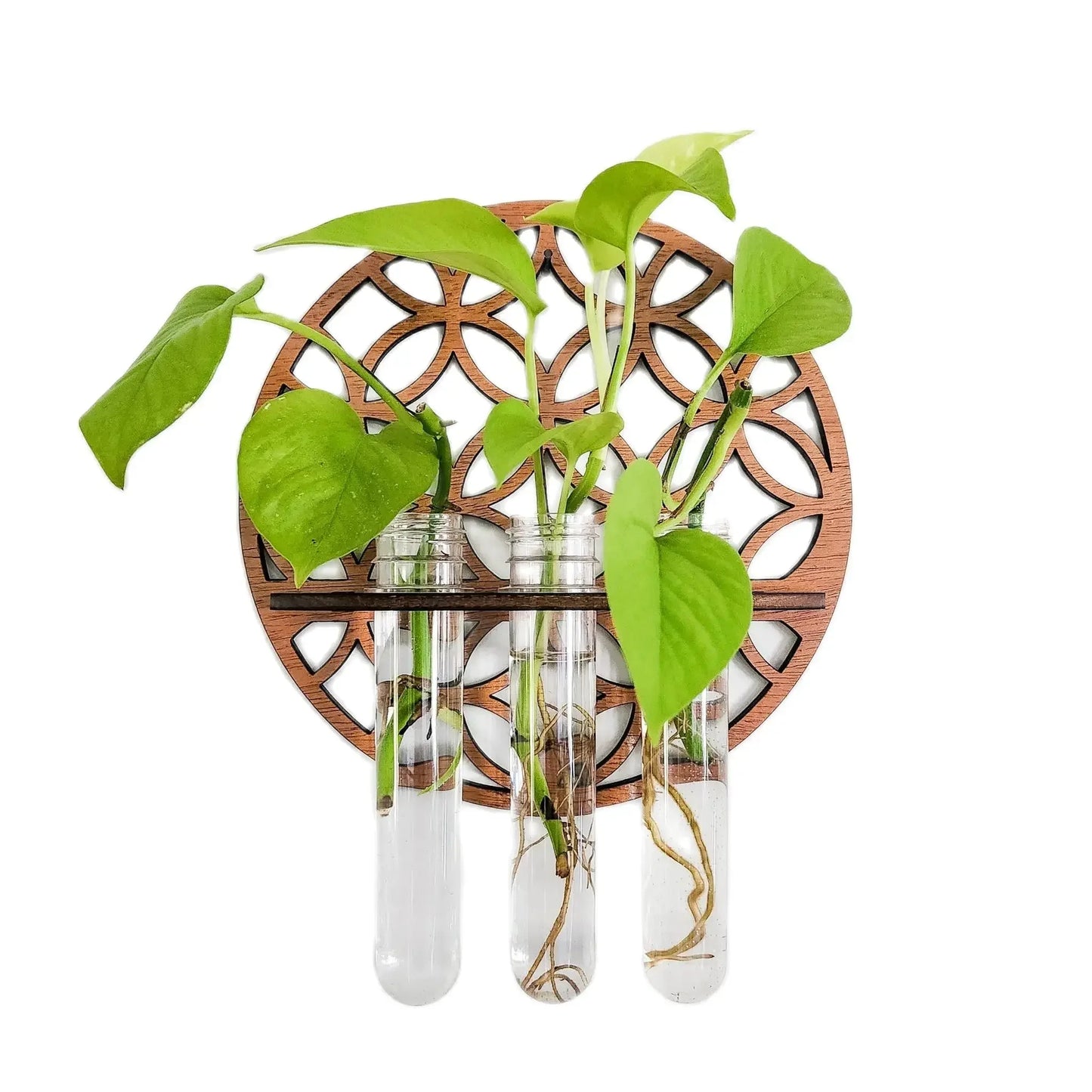 Garden Wall Planters Indoor Wooden Circle Plant Hanger Wall Hanging Flower Vase Rack with 3 Test Tubes Plant Propagation Station