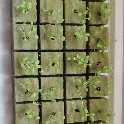 Green Seed Starter Cubes Surface for Optimal Germination, Ideal for Hydroponic and Soilless Planting, Vegetable Seed Compatible
