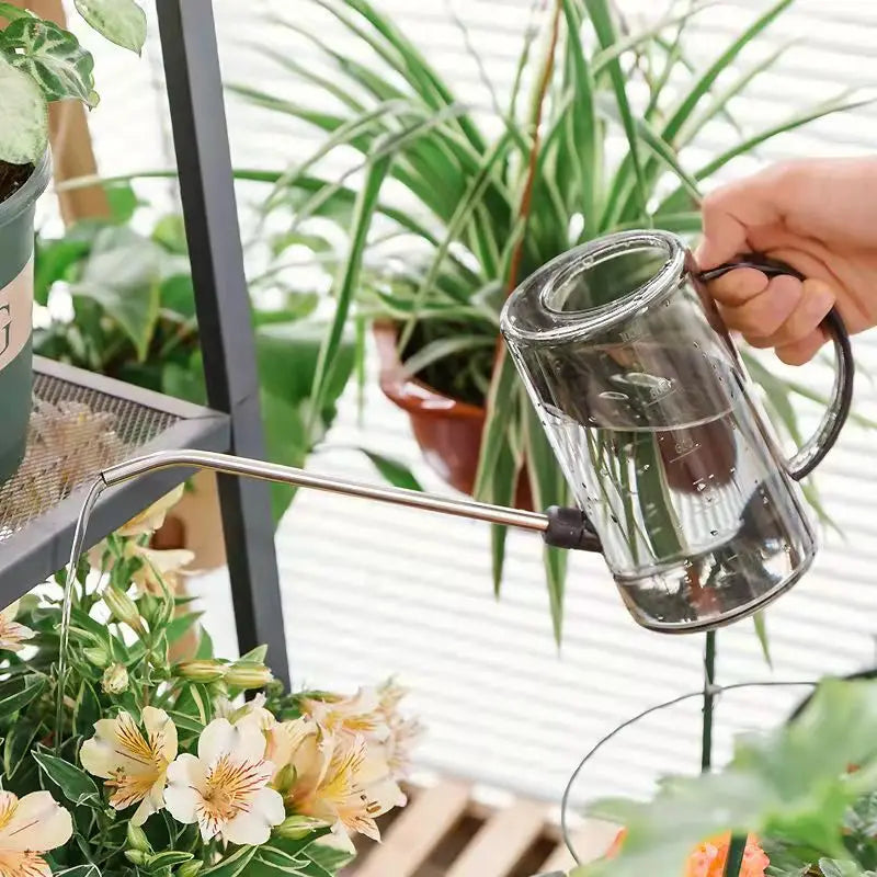 Watering Can, Small Watering Cans for House Plants, Succulents and Flowers,Long Spout,1 Liter,with Bonus Plant Spray Bottle