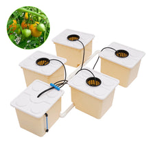 Load image into Gallery viewer, 11L Vegetable Aquaponic Kit Hydroponics Dutch Bucket Drip Growing System Complete Plants
