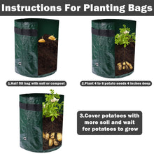 Load image into Gallery viewer, Potatoes Grow Bags 3/5/10 Gallon Gardening Plant Growing Bags for Potato Tomato Carrot &amp; Other Vegetable Planter Container
