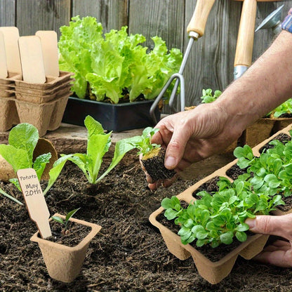 Seed Starter Tray Plants Growing Trays Germination Trays Organic Plant Starter Kit for Seed Growing Germination