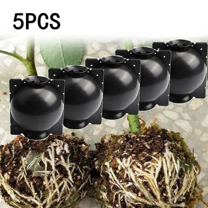 5Pcs Plant Rooting Ball Grafting Rooting Growing Box Breeding Seeding Case Container Nursery Box Garden Seeds Root
