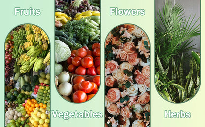 4x2x1ft Raised Garden Beds Outdoor Kit, Galvanized Oval Planter Box, Metal Bottomless Elevated Garden Boxes Set for Planting Veg