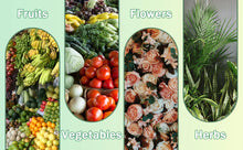 Load image into Gallery viewer, 4x2x1ft Raised Garden Beds Outdoor Kit, Galvanized Oval Planter Box, Metal Bottomless Elevated Garden Boxes Set for Planting Veg

