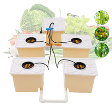 Load image into Gallery viewer, 11L Vegetable Aquaponic Kit Hydroponics Dutch Bucket Drip Growing System Complete Plants
