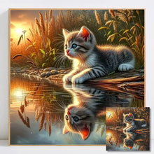 Load image into Gallery viewer, Cat Diamond Painting 5D DIY Diamond Mosaic Animal Picture Of Rhinestones Decoration For Home Kitten
