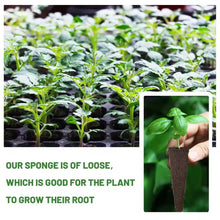 Load image into Gallery viewer, 50Pcs Seed Grow Sponges Replacement Root Growth Sponges Seedling Starter Plugs Seed Starting Seed Pod Hydroponic Garden Planting
