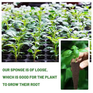 50Pcs Seed Grow Sponges Replacement Root Growth Sponges Seedling Starter Plugs Seed Starting Seed Pod Hydroponic Garden Planting