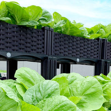 Load image into Gallery viewer, Plastic Raised Garden Bed with Legs Raised Bed W/Drainage Holes Planter Container for Vegetables Fruits Flowers Herbs

