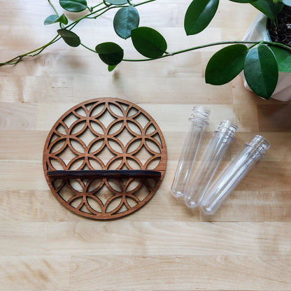 Garden Wall Planters Indoor Wooden Circle Plant Hanger Wall Hanging Flower Vase Rack with 3 Test Tubes Plant Propagation Station