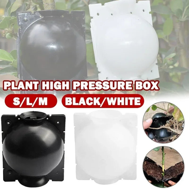 5Pcs Plant Rooting Ball Grafting Rooting Growing Box Breeding Seeding Case Container Nursery Box Garden Seeds Root