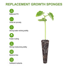 Load image into Gallery viewer, 50Pcs Seed Grow Sponges Replacement Root Growth Sponges Seedling Starter Plugs Seed Starting Seed Pod Hydroponic Garden Planting
