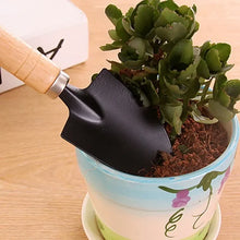 Load image into Gallery viewer, 3Pcs/Set Mini Garden Tool Set For Garden Plants Flower Pot Cactus Vegetables Digging Weeding Indoor Small Plants Garden Tools
