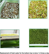 Load image into Gallery viewer, Germination Tray Seed Germination Tray Seedling Tray Wheatgrass Seed Planting Soilless Cultivation Planting Pot
