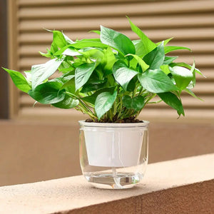 Garden Decoration Self-watering Flower Pot Plant with Chain Hanging Flower Pots Round with Drainage Holes Houseplant Flowerpot