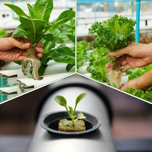 Green Seed Starter Cubes Surface for Optimal Germination, Ideal for Hydroponic and Soilless Planting, Vegetable Seed Compatible