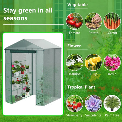 Greenhouse for Outdoors Portable Walk in Greenhouse Plant Garden Green House Winter Summer Large Garden House with Door