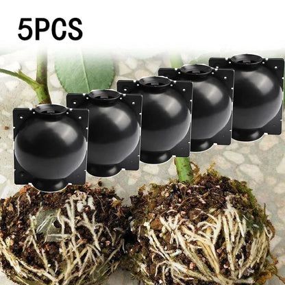 5Pcs Plant Rooting Ball Grafting Rooting Growing Box Breeding Seeding Case Container Nursery Box Garden Seeds Root